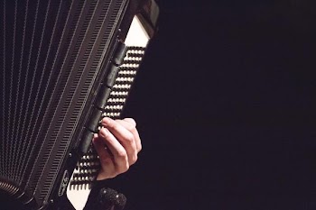 Free Photo of man, musician, accordian