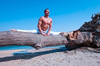 Free Photo of man, splits, tree