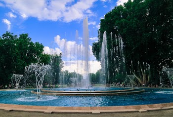 Free Photo of Margaret Island, fountain, water