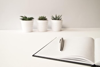 Free Photo of minimal, cactus, desk