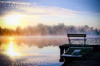 Free Photo of misty, lake, morning