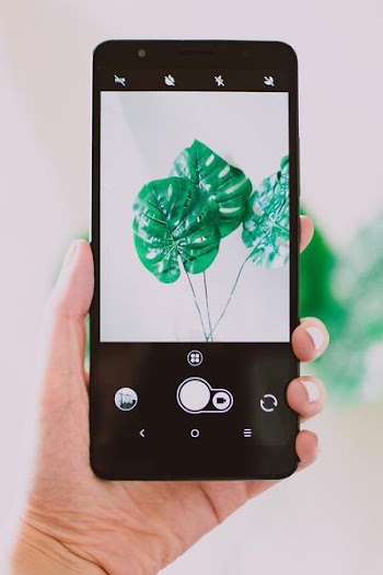 Free Photo of mobile, photograph, plant