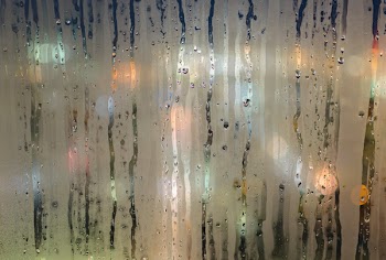 Free Photo of moisture, wet, window