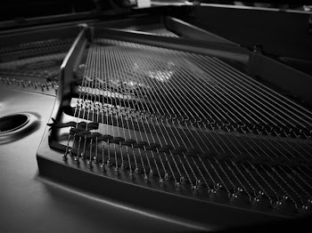 Free Photo of monochrome, black and white, strings