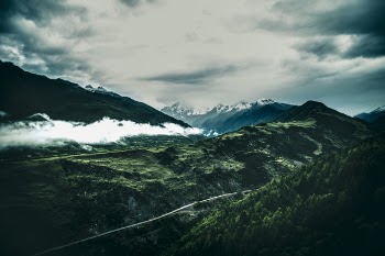 Free Photo of Morning, Fog, mist