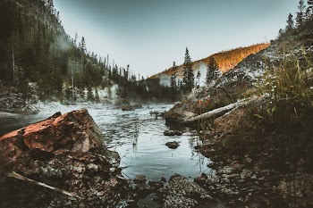 Free Photo of morning, sunrise, foggy