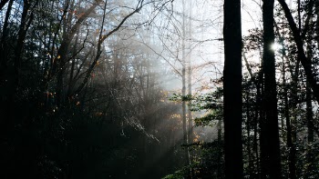 Free Photo of morning, sunshine, sunrise
