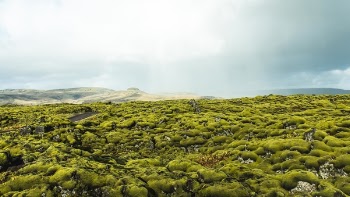 Free Photo of mountain, green, moss