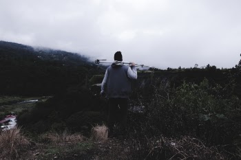 Free Photo of mountain, green, plant