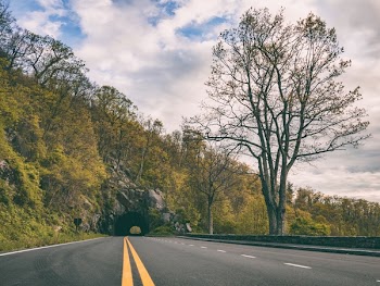 Free Photo of mountain, green, trees