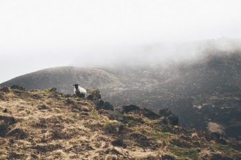 Free Photo of mountain, highland, cloud