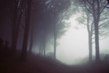 Free Photo of mountain, highland, foggy