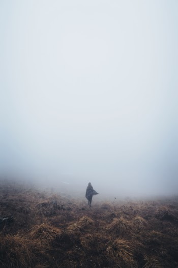 Free Photo of mountain, highland, grass