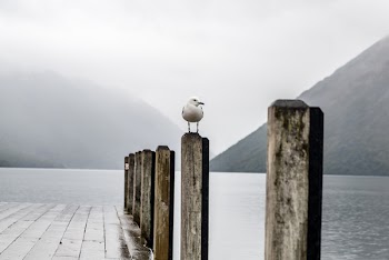Free Photo of mountain, highland, summit