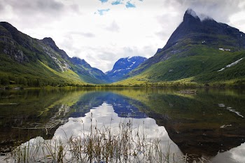 Free Photo of mountain, plants, trees