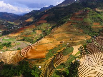 Free Photo of mountain, ricefield, farm