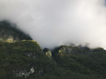 Free Photo of mountain, trees, plant