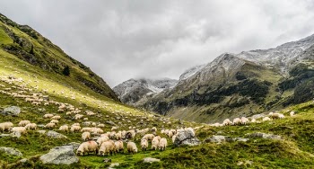 Free Photo of mountain, valley, highland