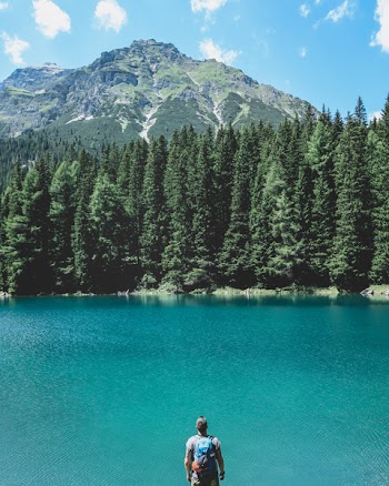 Free Photo of nature, aerial, man