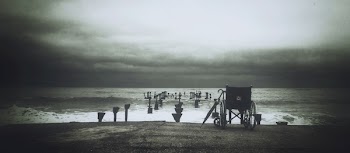 Free Photo of nature, beach, shore