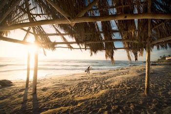 Free Photo of nature, beach, shore