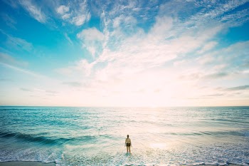 Free Photo of nature, beach, shore