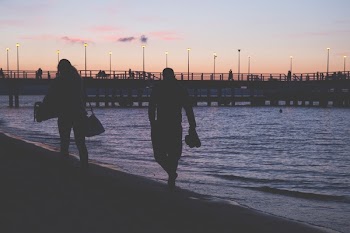 Free Photo of nature, beach, shore