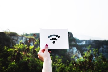 Free Photo of nature, blur, wifi