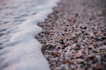 Free Photo of nature, coast, beach