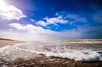 Free Photo of nature, coast, beach