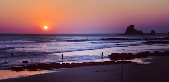 Free Photo of nature, coast, beach