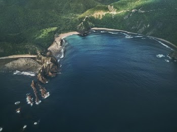 Free Photo of nature, coast, beach