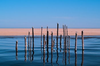 Free Photo of nature, coast, shore