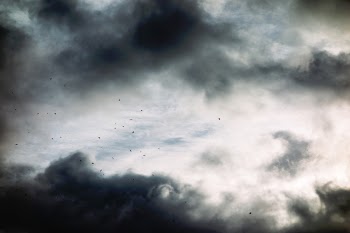 Free Photo of nature, dark, sky