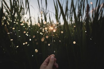 Free Photo of nature, field, grass
