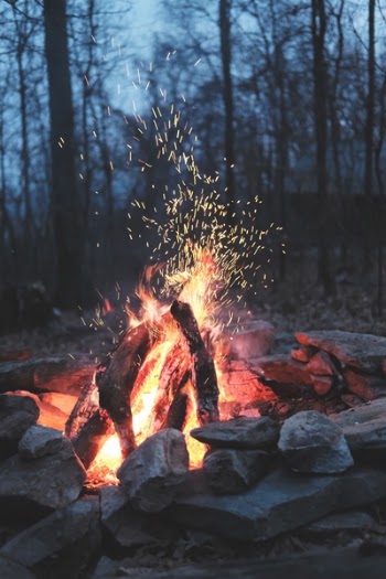 Free Photo of nature, fire, bonfire