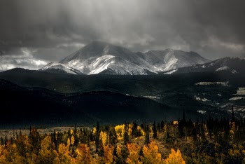 Free Photo of nature, forest, landscape