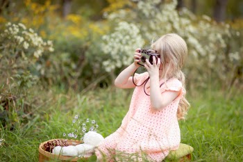 Free Photo of nature, grass, plants