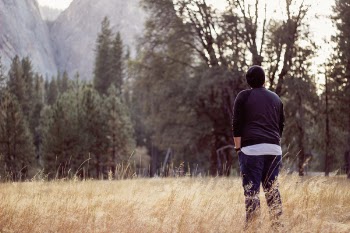 Free Photo of nature, grass, plants
