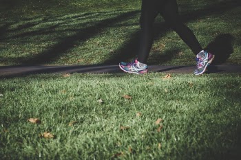 Free Photo of nature, green, walk