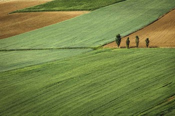 Free Photo of nature, land, plains