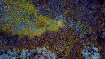 Free Photo of nature, landscape, aerial