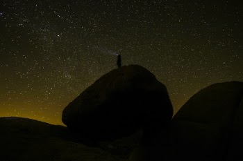 Free Photo of nature, landscape, dark