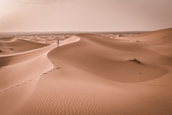 Free Photo of nature, landscape, desert
