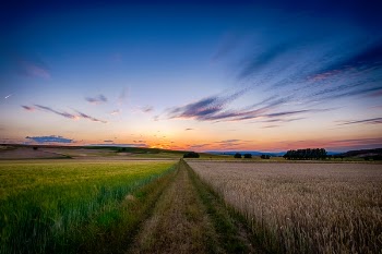 Free Photo of nature, landscape, field