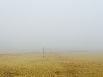 Free Photo of nature, landscape, field