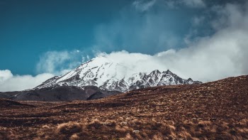 Free Photo of nature, landscape, fog
