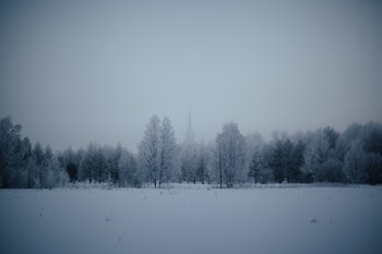 Free Photo of nature, landscape, forests