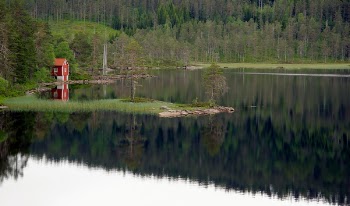 Free Photo of nature, landscape, green