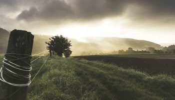 Free Photo of nature, landscape, green